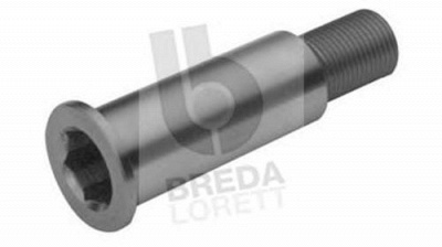 BREDA LORETT toa3074 -  Коренная шейка, рычаг натяжного ролика